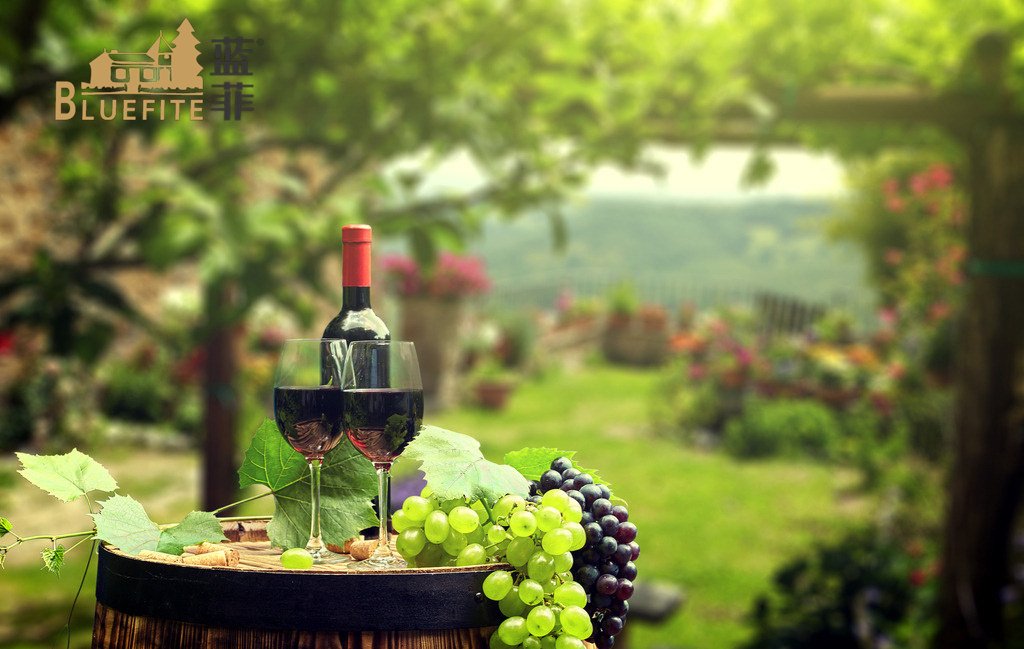 歐洲三大主要產(chǎn)酒國相繼漲價(jià) 進(jìn)口紅酒代理商如何應(yīng)對(duì)